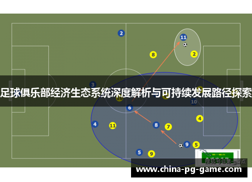 足球俱乐部经济生态系统深度解析与可持续发展路径探索